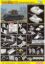 Picture of 1/35 Panzerjäger I B w/7.5cm StuK 40 L/48 & Gun Crew Smart Kit – Dragon 6781