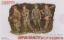 Picture of 1/35 German Infantry Battle of the Hedgerows 1944 – Dragon 6025