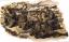 Picture of 1/35 German MG42 Heavy Machine Gun Team – Dragon 6064