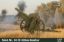 Picture of 1/35 Polish Wz. 14/19 100mm Howitzer  - IBG 35061