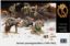 Picture of 1/35 German Panzergrenadiers, 1939-1942, 7 figures - Master Box 3518