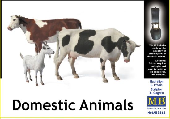 Picture of Domestic Animals 