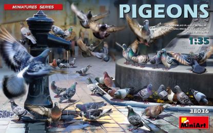 Picture of Pigeons