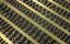 Picture of PE Letters: 1,5 - 2,0mm - Matho Models 80008