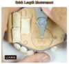 Picture of Handle Bending Tool - LIANG Model 0235