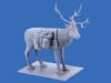 Picture of 1/35 Finnish Riflemen (Winter 1940) (4 figures - ICM 3 rifleman, 1 reindeer)   - ICM 35566