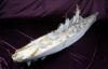 Picture of 1/200 Missouri Dx Pack - KA MODELS MD-20004