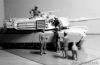 Picture of 1/35 Modern US tankmen in Afghanistan. Can we buy one of your sheep for a BBQ?"  - Master Box 35131