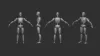 Picture of 1/35 Figure base (male) - Firma49 F022/35