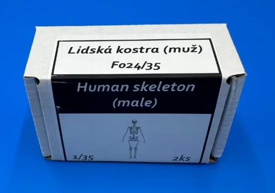 Picture of 1/35 Human skeleton (male) - Firma49 F024/35