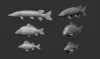 Picture of 1/35 Freshwater fish - Firma49 Z009/35