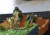 Picture of 1/35 GERMAN 2.8CM SPZB41 AT GUN W/CREW - Dragon Models 6056