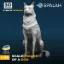 Picture of 1/35 Figure "Dog". - Spalah Models SP19535