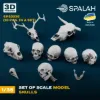 Picture of 1/35 Set of scale models "Skulls". - Spalah Models SP32235