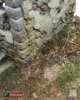 Picture of 1/35 “Ardennes Forest” [Diorama Base] - RT Diorama 35064