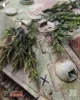 Picture of 1/35 “Hürtgenwald” [Scenic Base] - RT Diorama 35058