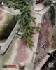 Picture of 1/35 “Hürtgenwald” [Scenic Base] - RT Diorama 35058