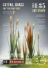 Picture of 1/35 Cattail Grass / 2pcs. - RT Diorama 35400