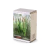 Picture of 1/35 Cattail Grass / 2pcs. - RT Diorama 35400