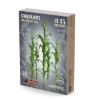 Picture of 1/35 Corn Plants - RT Diorama 35402