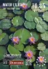 Picture of 1/35 Water Lilies Set No. 2 - RT Diorama 35410