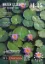 Picture of 1/35 Water Lilies Set No. 2 - RT Diorama 35410
