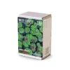 Picture of 1/35 Water Lilies Set No. 2 - RT Diorama 35410