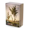 Picture of 1/35 Deciduous Trees Set [Early Growth] - RT Diorama 35445