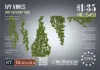 Picture of 1/35 Ivy Vines - RT Diorama 35450
