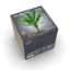 Picture of 1/35 Young Banana Plant - RT Diorama 35453