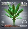 Picture of 1/35 Young Banana Plant - RT Diorama 35453