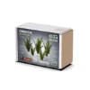 Picture of 1/35 Common Fern Set - RT Diorama 35466
