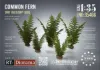 Picture of 1/35 Common Fern Set - RT Diorama 35466