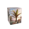 Picture of 1/35 Date Palm [No.1] - RT Diorama 35475