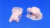 Picture of 1/35 Vultures - Glowel Miniatures 34003