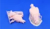 Picture of 1/35 Vultures - Glowel Miniatures 34003
