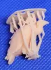 Picture of 1/35 Vultures - Glowel Miniatures 34003