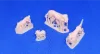 Picture of 1/35 Dogs - Glowel Miniatures 34005