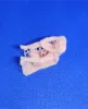 Picture of 1/35 German tank crewman sitting - Glowel Miniatures 35059