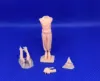 Picture of 1/35 StuG III G crew - Glowel Miniatures 35065
