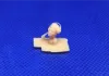 Picture of 1/35 WSS Tiger crew Kursk 1943 - Glowel Miniatures 35068