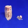Picture of 1/35 French soldiers running - Glowel Miniatures 35084