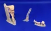 Picture of 1/35 British soldiers and Afrika Korps POW - Glowel Miniatures 35087