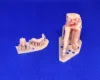 Picture of 1/35 Polish T-34 crew part 1 - Glowel Miniatures 35930