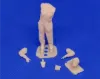 Picture of 1/35 7TP tank commander - Glowel Miniatures 35933