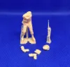 Picture of 1/35 Polish infantry combat poses - Glowel Miniatures 35941