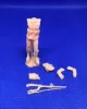 Picture of 1/35 Polish infantry standing - Glowel Miniatures 35945