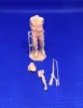 Picture of 1/35 Polish infantry standing - Glowel Miniatures 35945