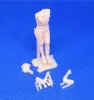 Picture of 1/35 Britih AFV commander Africa - Glowel Miniatures 35951
