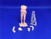 Picture of 1/35 Polish infantry with heavy weapons - Glowel Miniatures 35954
